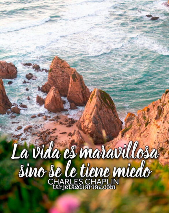 LA VIDA ES MARAVILLOSA SINO SE LE TIENE MIEDO