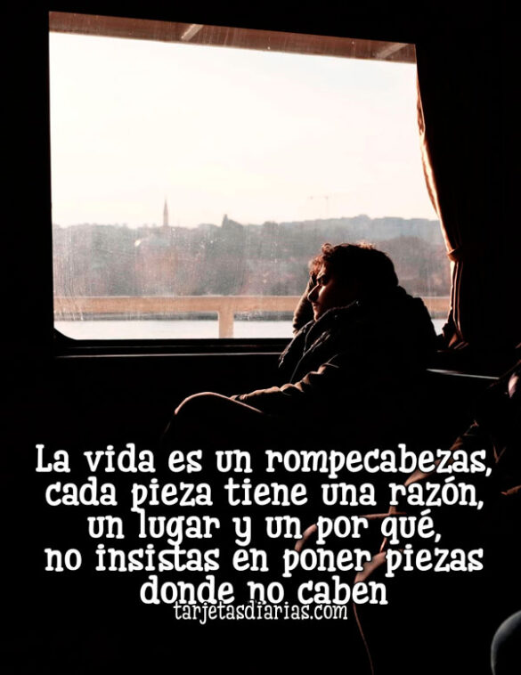 LA VIDA ES UN ROMPECABEZAS, CADA PIEZA TIENE UNA RAZÓN UN LUGAR Y UN POR QUÉ