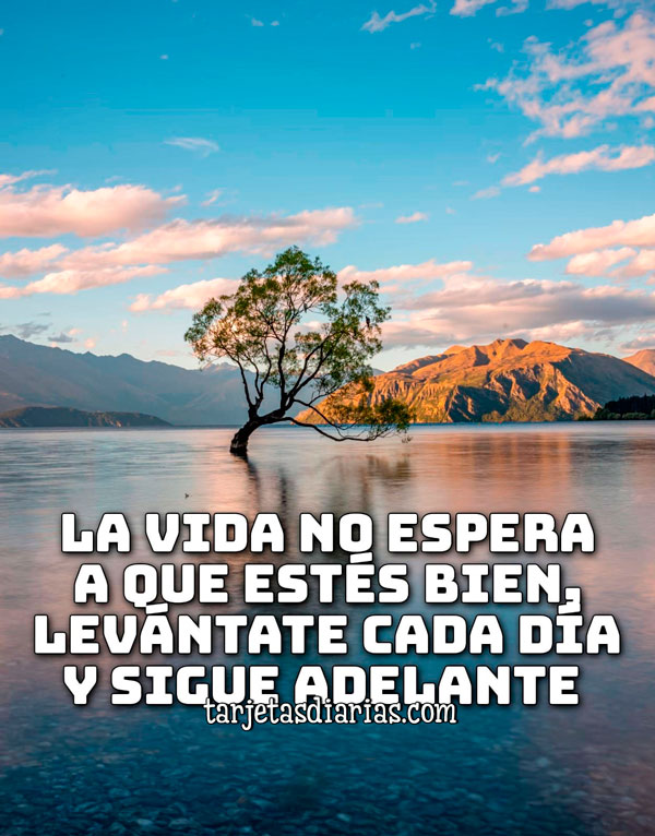 LA VIDA NO ESPERA A QUE ESTÉS BIEN, LEVÁNTATE CADA DÍA Y SIGUE ADELANTE ...