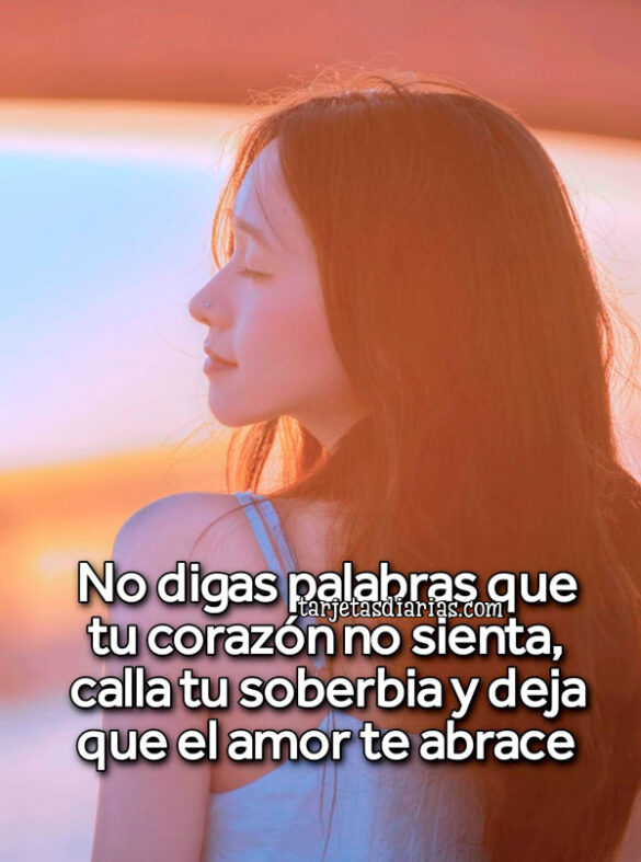 NO DIGAS PALABRAS QUE TU CORAZÓN NO SIENTA, CALLA TU SOBERBIA Y DEJA QUE EL AMOR TE ABRACE