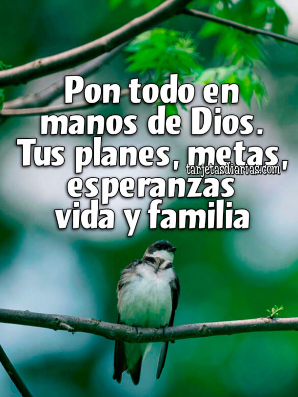 PON TODO EN MANOS DE DIOS. TUS PLANES, METAS, ESPERANZAS, VIDA Y FAMILIA