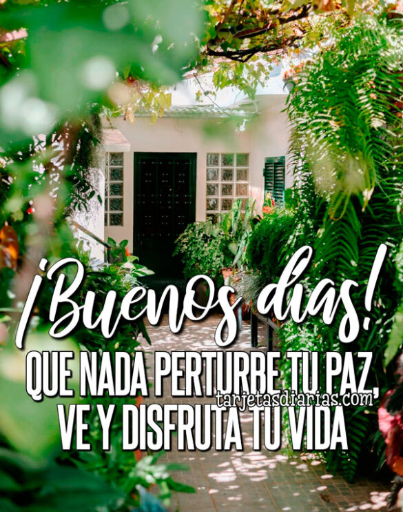 ¡BUENOS DÍAS! QUE NADA PERTURBE TU PAZ, VE Y DISFRUTA TU VIDA