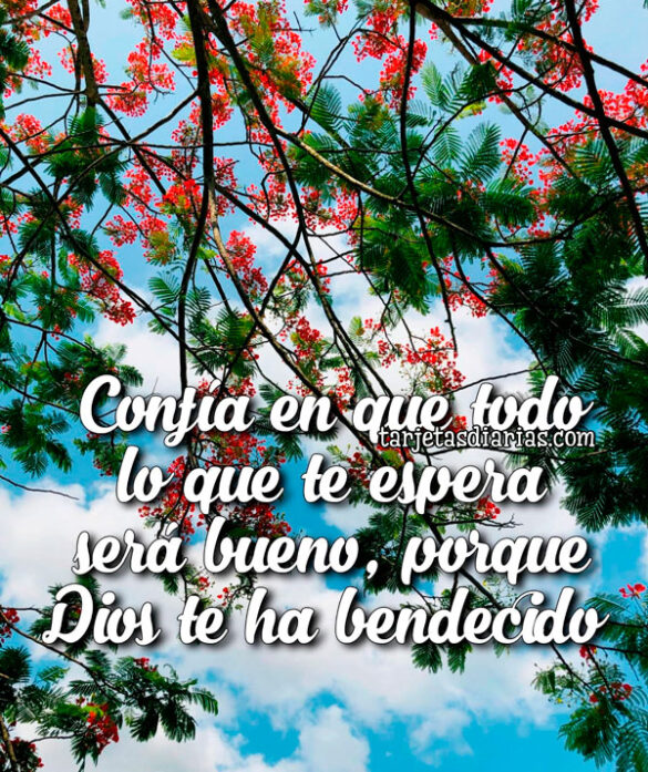 CONFÍA EN QUE TODO LO QUE TE ESPERA SERÁ BUENO, PORQUE DIOS TE HA BENDECIDO
