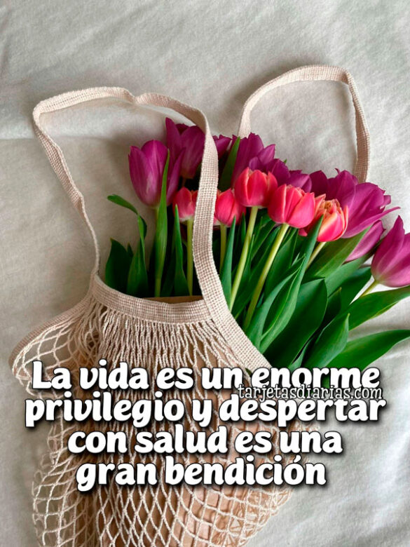 LA VIDA ES UN ENORME PRIVILEGIO Y DESPERTAR CON SALUD ES UNA GRAN BENDICIÓN
