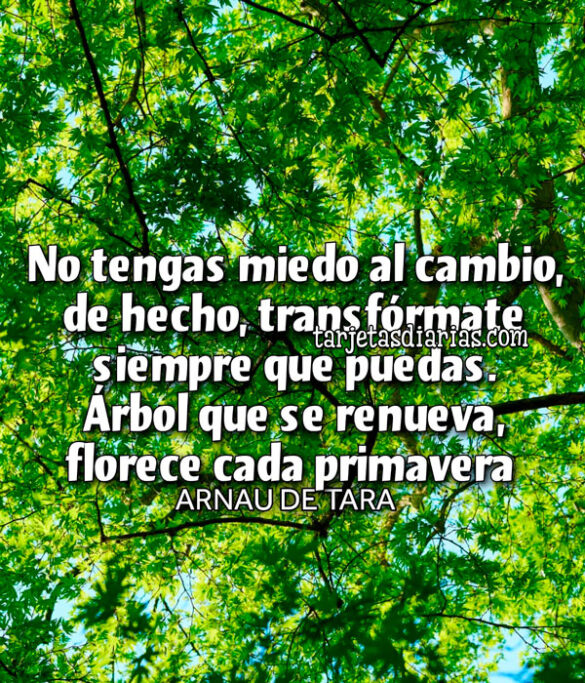 NO TENGAS MIEDO AL CAMBIO, DE HECHO, TRANSFÓRMATE SIEMPRE QUE PUEDAS. ÁRBOL QUE SE RENUEVA FLORECE CADA PRIMAVERA