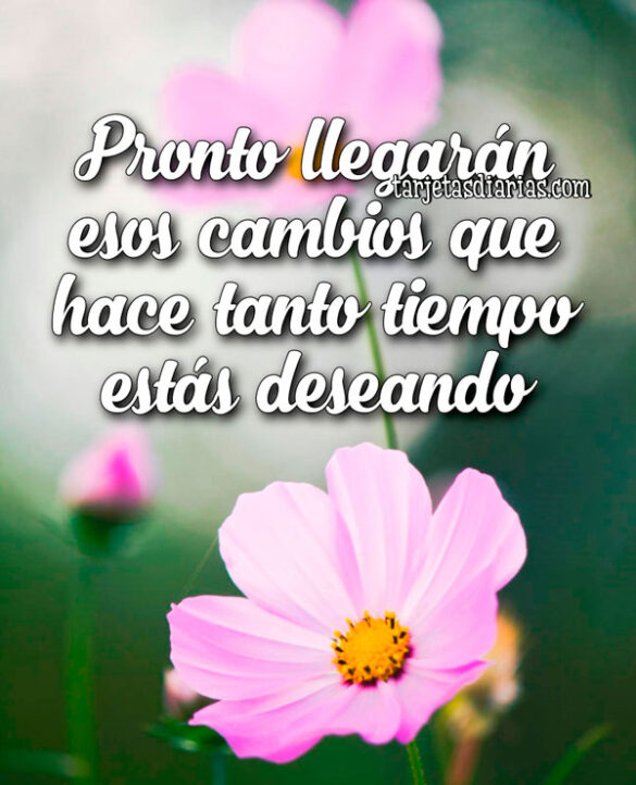 PRONTO LLEGARÁN ESOS CAMBIOS QUE HACE TANTO TIEMPO ESTÁS DESEANDO