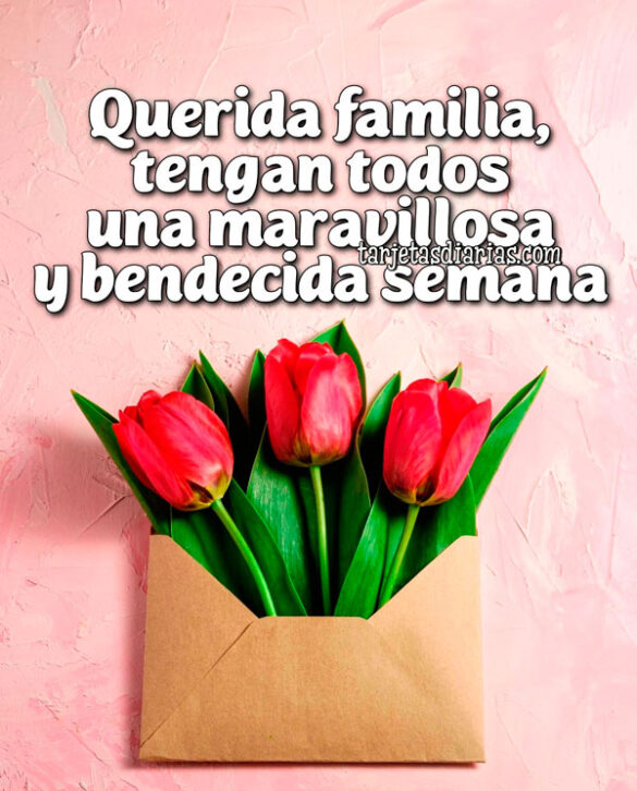 QUERIDA FAMILIA, TENGAN TODOS UNA MARAVILLOSA Y BENDECIDA SEMANA