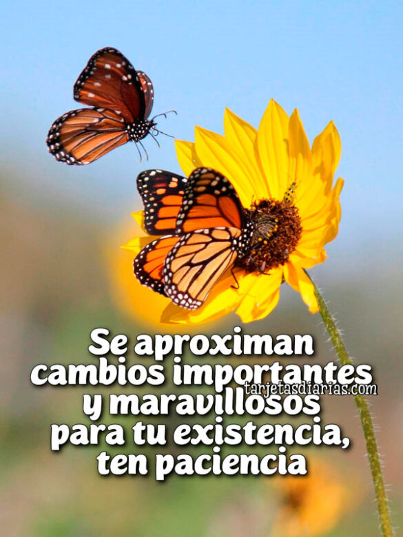 SE APROXIMAN CAMBIOS IMPORTANTES Y MARAVILLOSOS PARA TU EXISTENCIA, TEN PACIENCIA