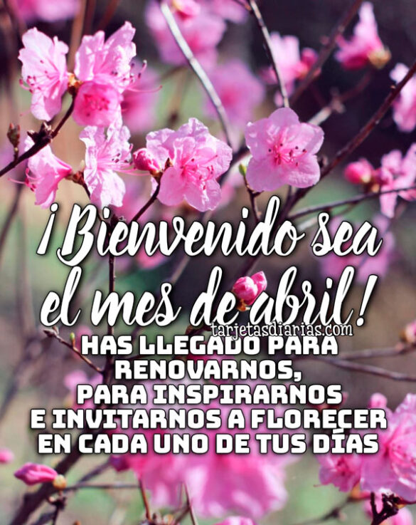 ¡BIENVENIDO SEA EL MES DE ABRIL! HAS LLEGADO PARA RENOVARNOS, PARA INSPIRARNOS E INVITARNOS A FLORECER EN CADA UNO DE TUS DÍAS