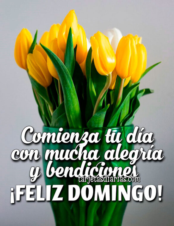 COMIENZA TU DÍA CON MUCHA ALEGRÍA Y BENDICIONES ¡FELIZ DOMINGO!