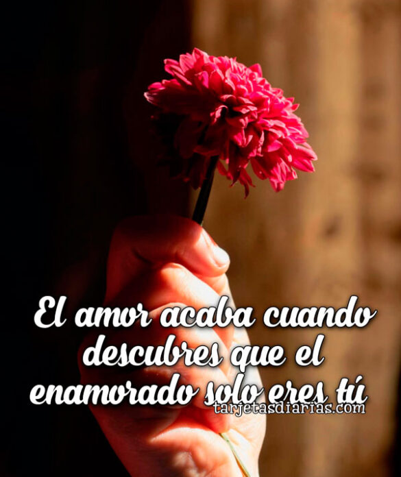 EL AMOR ACABA CUANDO DESCUBRES QUE EL ENAMORADO SOLO ERES TÚ