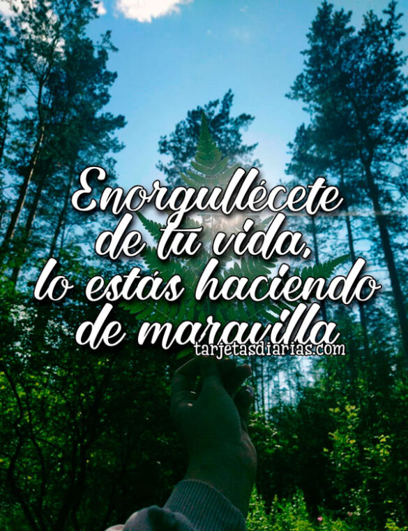 ENORGULLÉCETE DE TU VIDA, LO ESTÁS HACIENDO DE MARAVILLA