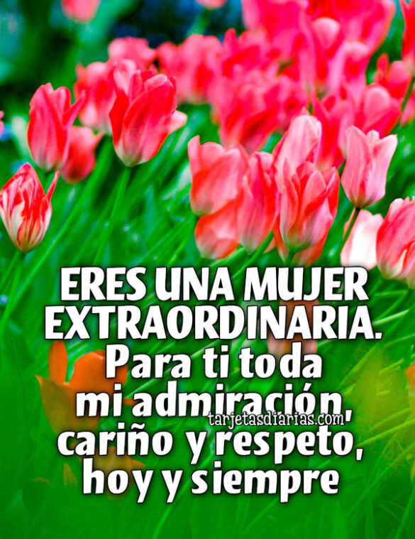 ERES UNA MUJER EXTRAORDINARIA. PARA TI TODA MI ADMIRACIÓN, CARIÑO Y RESPETO, HOY Y SIEMPRE