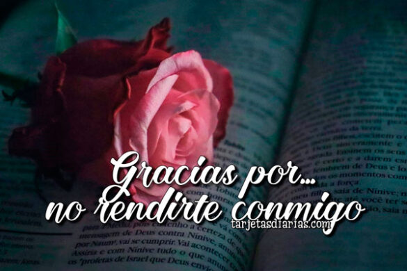 GRACIAS POR NO RENDIRTE CONMIGO