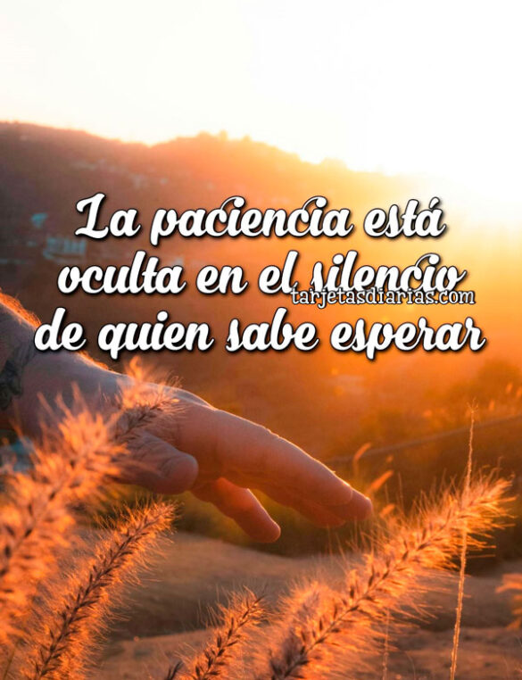 LA PACIENCIA ESTÁ OCULTA EN EL SILENCIO DE QUIEN SABE ESPERAR