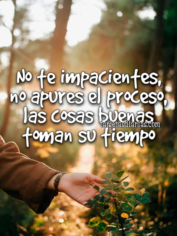 NO TE IMPACIENTES, NO APURES EL PROCESO, LAS COSAS BUENAS TOMAN SU TIEMPO