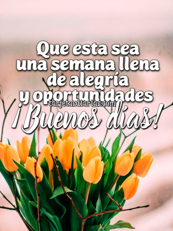 QUE ESTA SEA UNA SEMANA LLENA DE ALEGRÍA Y OPORTUNIDADES ¡BUENOS DÍAS!