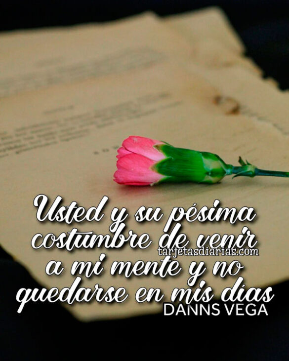 USTED Y SU PÉSIMA COSTUMBRE DE VENIR A MI MENTE Y NO QUEDARSE EN MIS DÍAS