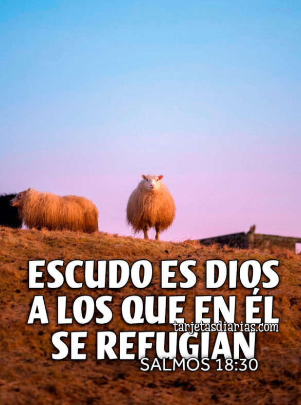 ESCUDO ES DIOS A LOS QUE EN ÉL SE REFUGIAN. SALMOS 18:30