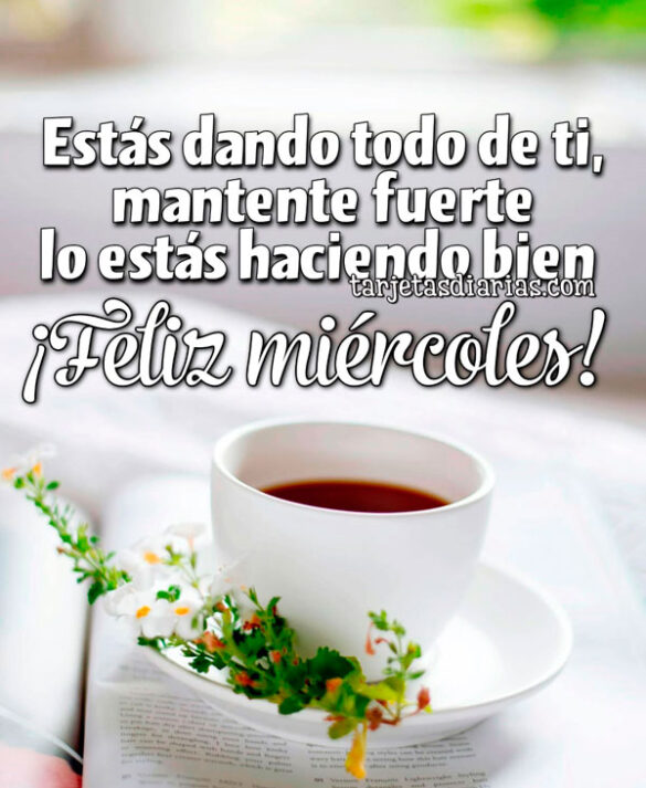 ESTÁS DANDO TODO DE TI, MANTENTE FUERTE LO ESTÁS HACIENDO MUY BIEN. ¡FELIZ MIÉRCOLES!