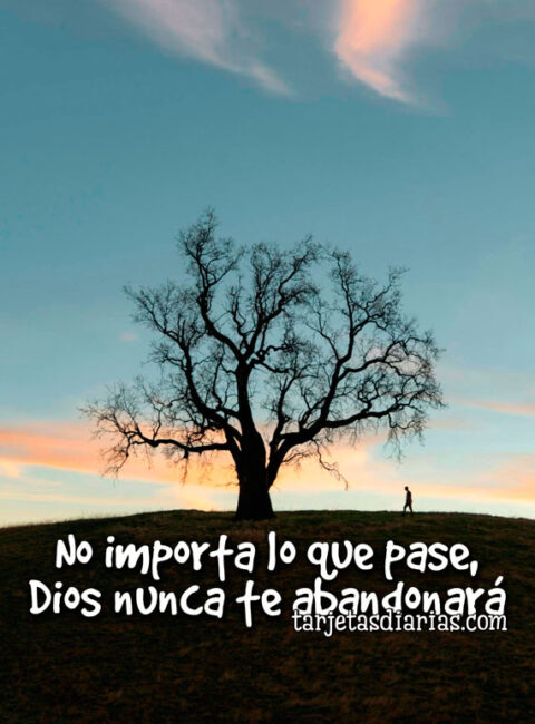 DIOS TODO LO HIZO HERMOSO Y ESO TE INCLUYE A TI - Tarjetas Diarias
