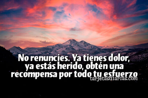 NO RENUNCIES. YA TIENES DOLOR YA ESTÁS HERIDO, OBTÉN UNA RECOMPENSA POR TODO TU ESFUERZO
