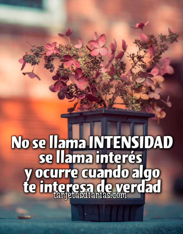 NO SE LLAMA INTENSIDAD SE LLAMA INTERÉS Y OCURRE CUANDO ALGO TE INTERESA DE VERDAD