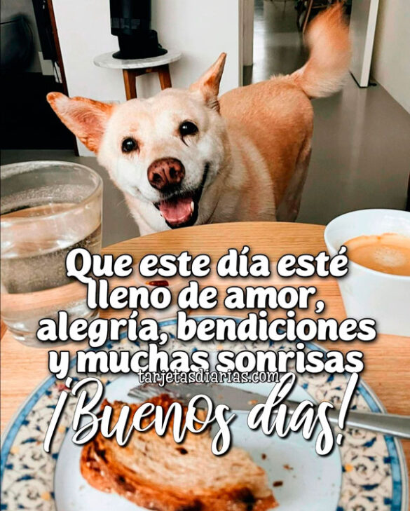 QUE ESTE DÍA ESTÉ LLENO DE AMOR, ALEGRÍA, BENDICIONES Y MUCHAS SONRISAS. ¡BUENOS DÍAS!