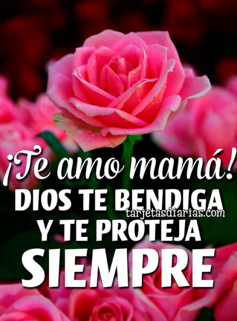 DIOS TE BENDIGA Y TE REGALE UNA HERMOSA SEMANA - Tarjetas Diarias