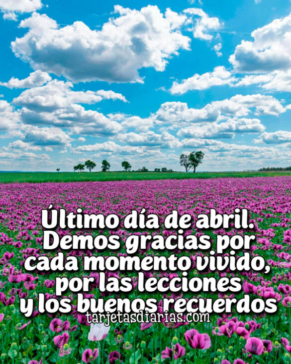 ÚLTIMO DÍA DE ABRIL. DEMOS GRACIAS POR CADA MOMENTO VIVIDO, POR LAS LECCIONES Y LOS BUENOS RECUERDOS