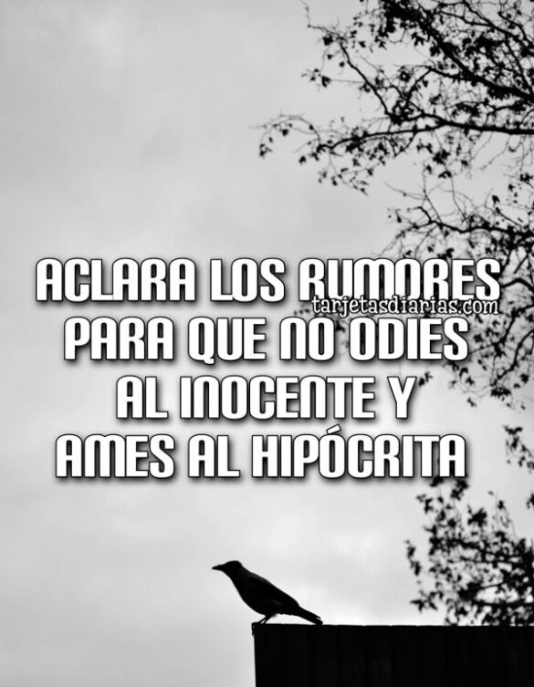 ACLARA LOS RUMORES PARA QUE NO ODIES AL INOCENTE Y AMES AL HIPÓCRITA