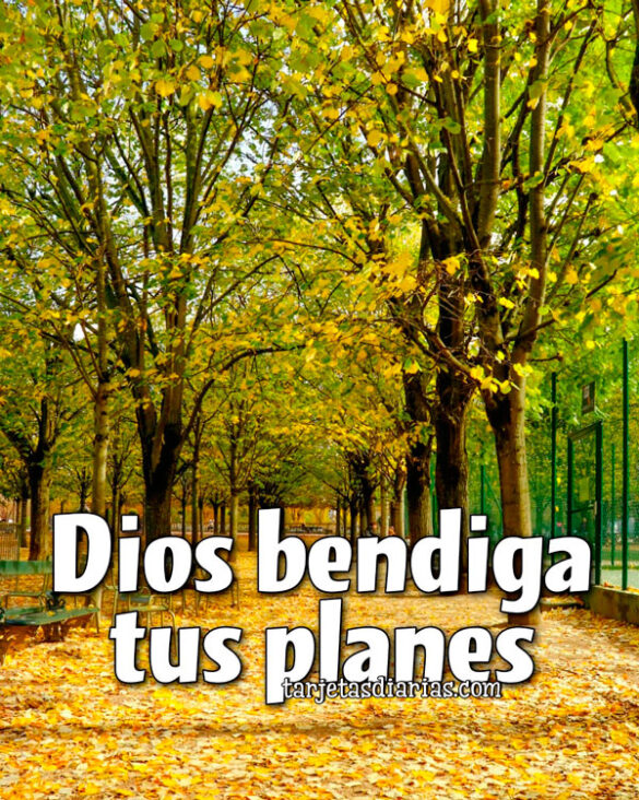 DIOS BENDIGA TUS PLANES