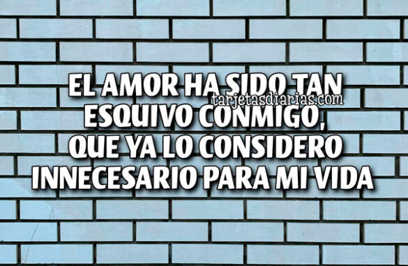 EL AMOR HA SIDO TAN ESQUIVO CONMIGO, QUE YA LO CONSIDERO INNECESARIO PARA MI VIDA