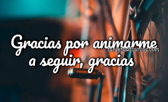 GRACIAS POR ANIMARME A SEGUIR, GRACIAS