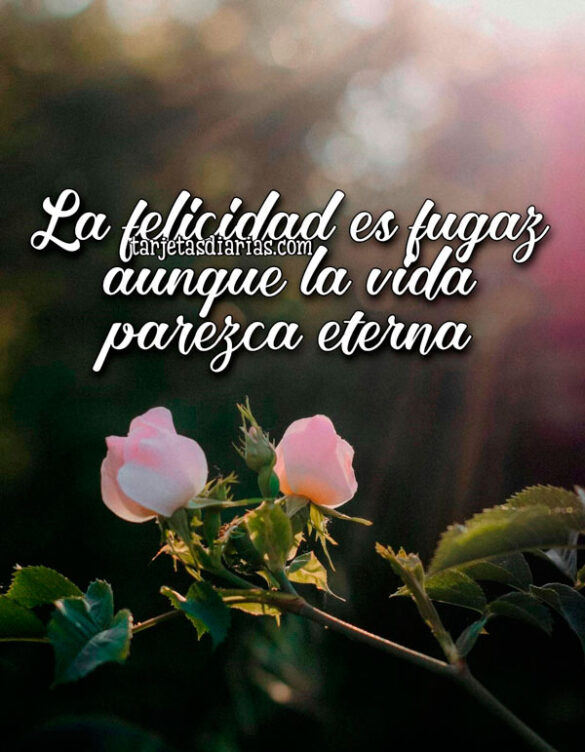 LA FELICIDAD ES FUGAZ, AUNQUE LA VIDA PAREZCA ETERNA
