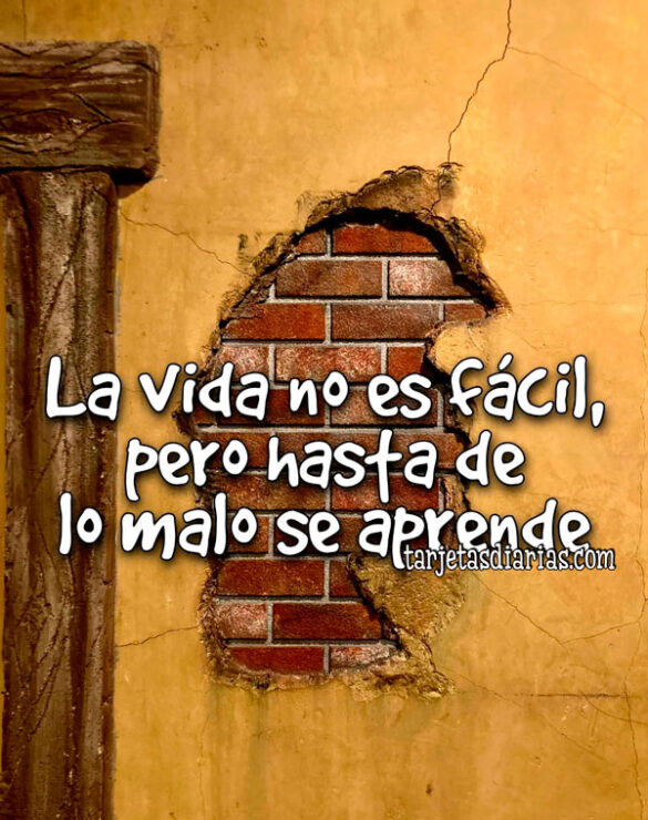 LA VIDA NO ES FÁCIL, PERO HASTA DE LO MALO SE APRENDE
