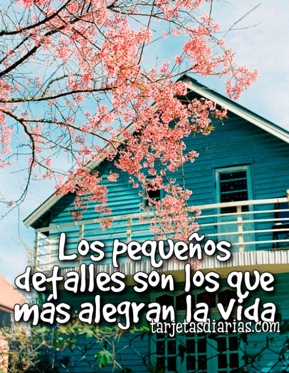 LOS PEQUEÑOS DETALLES SON LOS QUE MÁS ALEGRAN LA VIDA