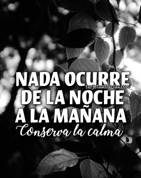 NADA OCURRE DE LA NOCHE A LA MAÑANA, CONSERVA LA CALMA