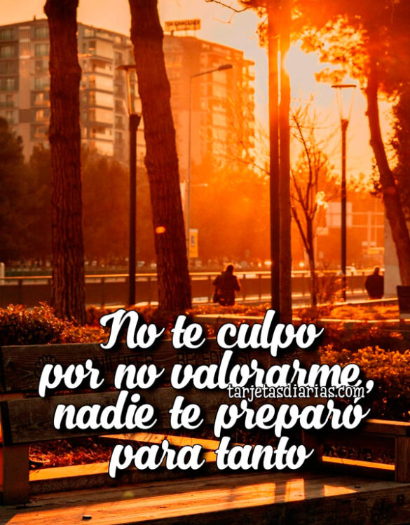 NO TE CULPO POR NO VALORARME, NADIE TE PREPARÓ PARA TANTO