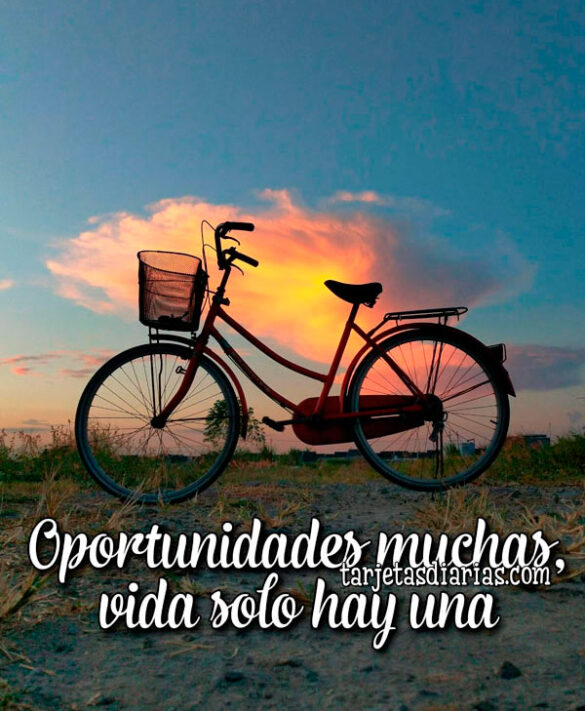 OPORTUNIDADES MUCHAS, VIDA SOLO HAY UNA
