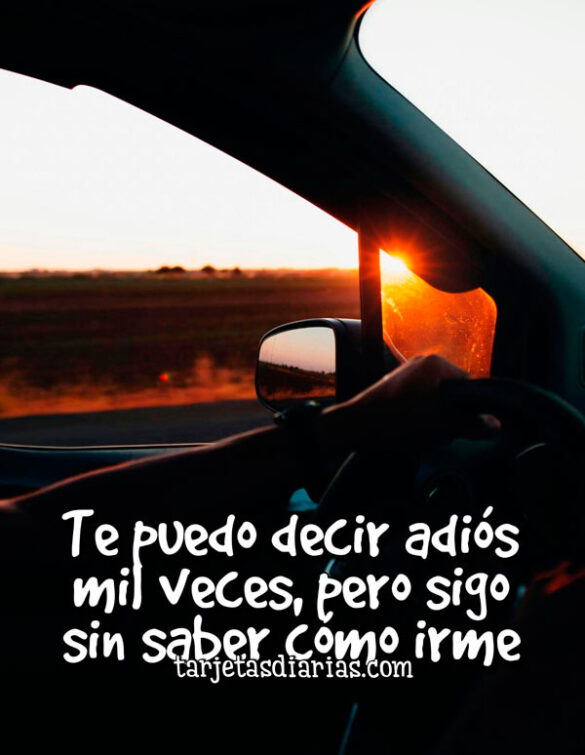 TE PUEDO DECIR ADIÓS MIL VECES, PERO SIGO SIN SABER CÓMO IRME