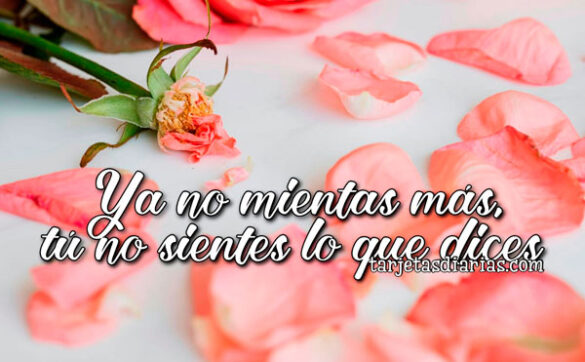 YA NO MIENTAS MÁS, TÚ NO SIENTES LO QUE DICES