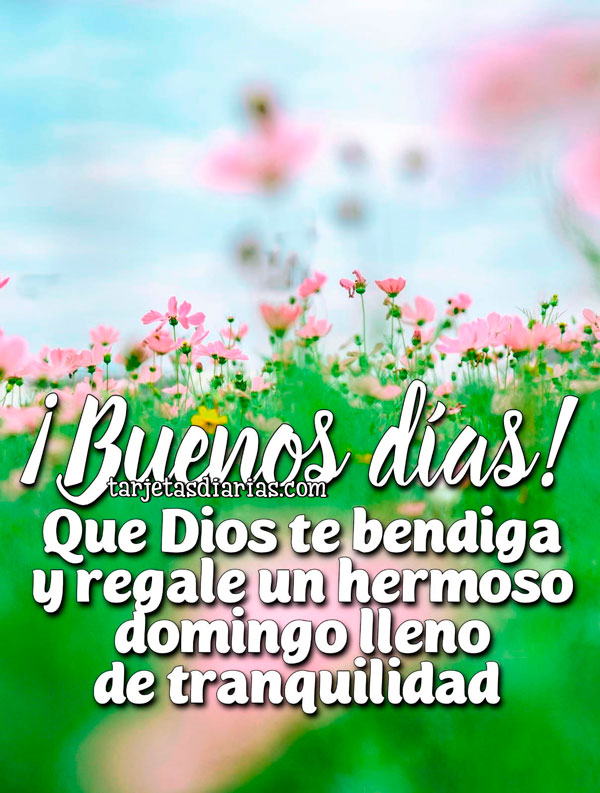 ¡BUENOS DÍAS! QUE DIOS TE BENDIGA Y REGALE UN HERMOSO DOMINGO LLENO DE ...