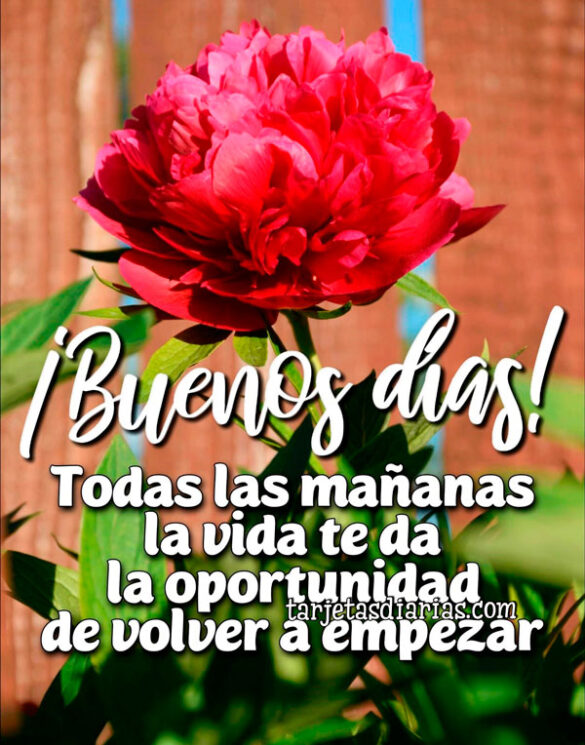 ¡BUENOS DÍAS! TODAS LAS MAÑANAS LA VIDA TE DA LA OPORTUNIDAD DE VOLVER A EMPEZAR