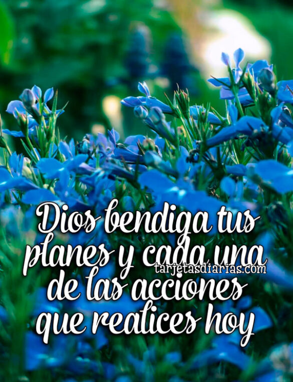DIOS BENDIGA TUS PLANES Y CADA UNA DE LAS ACCIONES QUE REALICES HOY