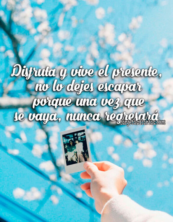 DISFRUTA Y VIVE EL PRESENTE, NO LO DEJES ESCAPAR PORQUE UNA VEZ QUE SE VAYA, NUNCA REGRESARÁ