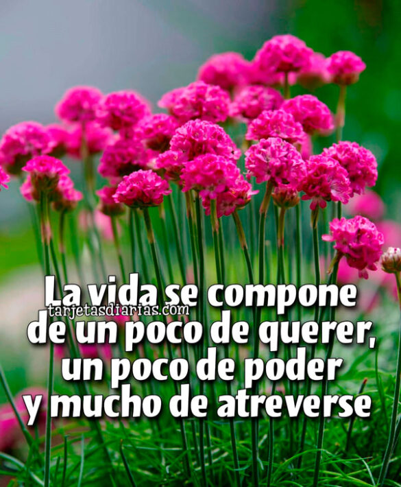LA VIDA SE COMPONE DE UN POCO DE QUERER, UN POCO DE PODER Y MUCHO DE ATREVERSE