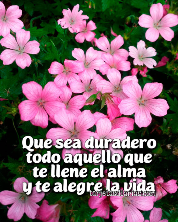QUE SEA DURADERO TODO AQUELLO TE LLENE EL ALMA Y TE ALEGRE LA VIDA