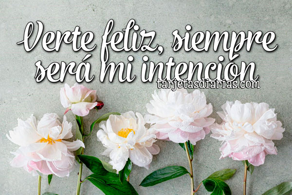 VERTE FELIZ, SIEMPRE SERÁ MI INTENCIÓN - Tarjetas Diarias