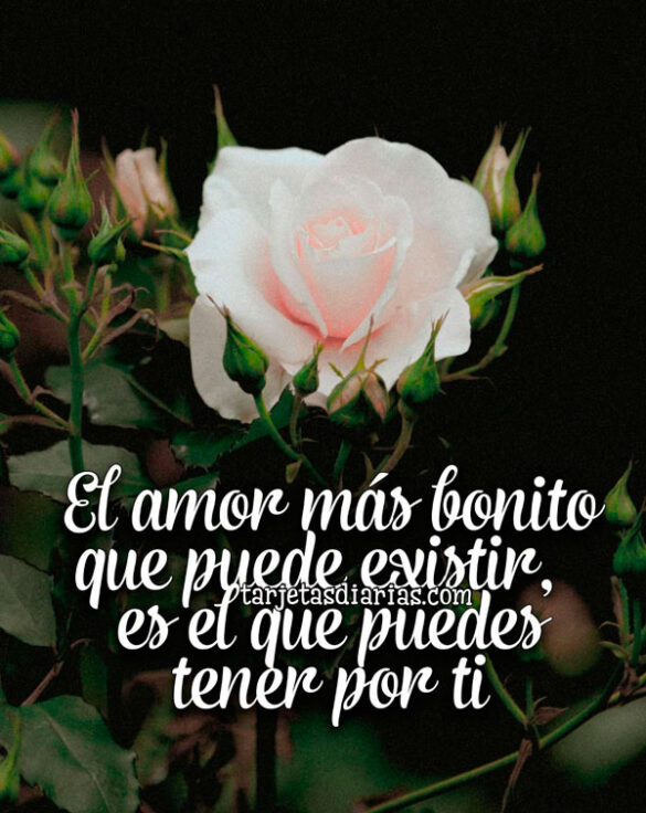 EL AMOR MÁS BONITO QUE PUEDE EXISTIR, ES EL QUE PUEDES TENER POR TI